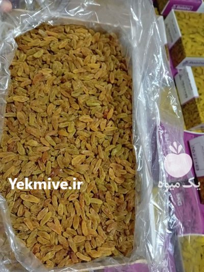 کشمش سبز در کاشمر در گروه خرید و فروش آجیل در یکمیوه -عکس1