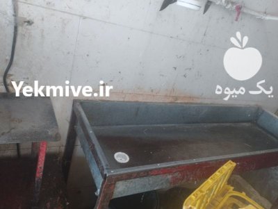 فروش دستگاه مرغ پرکن با تمام در نورآباد در گروه تجهیزات مرغداری در یکمیوه -عکس3