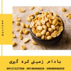 آگهی مشابه کره بادام زمینی هندی تازه بادام در گروه انواع فرآورده های لبنی و حیوانی در یکمیوه