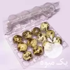 فروش ظروف بسته بندی تخم خوراکی در ارسنجان در گروه انواع بسته بندی محصول در یکمیوه -عکس1