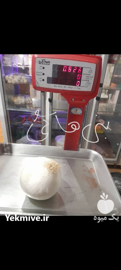 فروش پیاز درشت و یک دست در گروه خرید و فروش پیاز در یکمیوه -عکس2