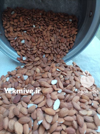 مغز بادام تلخ کوهی وحشی در اهواز در گروه خرید و فروش بادام در یکمیوه -عکس1