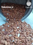 مغز بادام تلخ کوهی وحشی در اهواز در گروه خرید و فروش بادام در یکمیوه