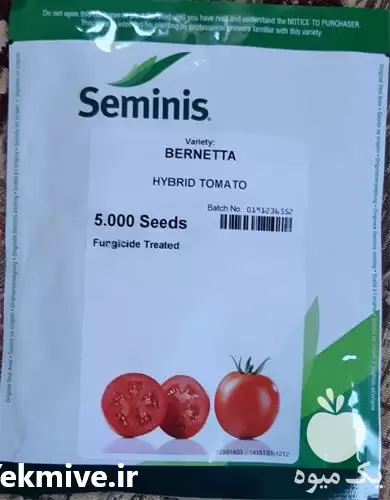 قیمت خرید بذر گوجه بریویو هیبرید در گروه خرید و فروش بذر گوجه در یکمیوه -عکس1