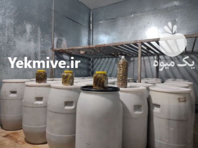 خیار شور خانگی در گروه محصولات ترشی در یکمیوه -عکس1