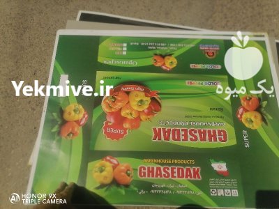 فروش کارتن فلفل دلمه و گوجه در تیران در گروه خرید و فروش انواع بسته بندی کارتن در یکمیوه -عکس4