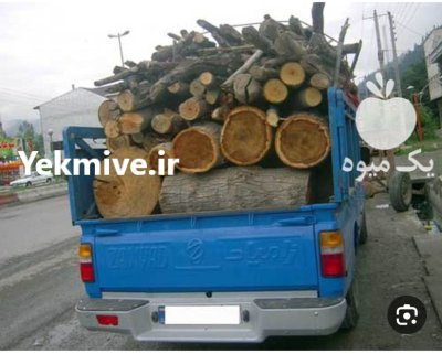 خریدار چوب باغی در تبریز در گروه خرید و فروش انواع چوب در یکمیوه -عکس1
