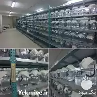 آموزش فوق کاربردی پرورش زالو