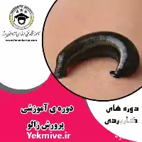 دوره آموزشی تکثیر زالوی طبی در اصفهان در گروه دوره آموزش کشاورزی در یکمیوه