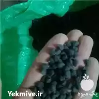 فروش نخود سیاه تمیز در تهران در گروه خرید و فروش نخود در یکمیوه