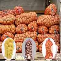 قیمت خرید تولید کیسه سیب زمینی در ساری در گروه خرید و فروش گونی در یکمیوه