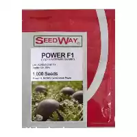 قیمت خرید بذر هندوانه شوگر بیبی در تبریز در گروه خرید و فروش بذر هندوانه در یکمیوه