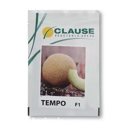 قیمت خرید توزیع عرضه بذر خربزه در گروه خرید و فروش بذر خربزه در یکمیوه -عکس1