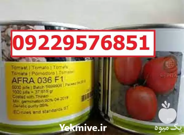 قیمت خرید سفارش بذر گوجه فرنگی در اصفهان در گروه خرید و فروش بذر گوجه در یکمیوه -عکس1