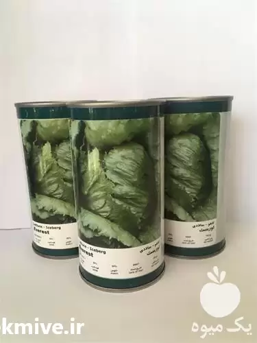 قیمت خرید بذر کاهو اورست در تبریز در گروه خرید و فروش بذر کاهو در یکمیوه -عکس1