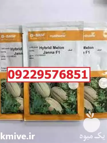 سفارش بذر خربزه جانا پرفروش اصل در گروه خرید و فروش بذر خربزه در یکمیوه -عکس1
