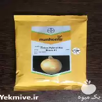 فروش بذر پیاز ریوبراوو در مشهد در گروه خرید و فروش بذر پیاز در یکمیوه