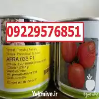 قیمت خرید سفارش بذر گوجه فرنگی در اصفهان در گروه خرید و فروش بذر گوجه در یکمیوه