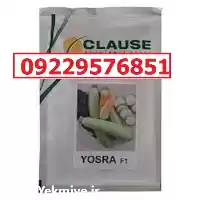 قیمت خرید قیمت بذر کدو یسری در شیراز در گروه خرید و فروش بذر کدو در یکمیوه