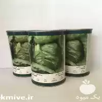 قیمت خرید بذر کاهو اورست در تبریز در گروه خرید و فروش بذر کاهو در یکمیوه