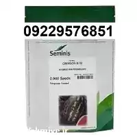 بذر هندوانه پر بار b 32 پر در شیراز در گروه خرید و فروش بذر هندوانه در یکمیوه