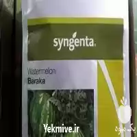 قیمت خرید بذر هندوانه باراکا در هرمز در گروه خرید و فروش بذر هندوانه در یکمیوه