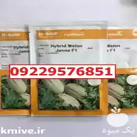 سفارش بذر خربزه جانا پرفروش اصل در گروه خرید و فروش بذر خربزه در یکمیوه