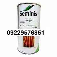 فروش بذر هویج سمینس اصل مناسب در کرمان  در گروه خرید و فروش بذر هویج در یکمیوه