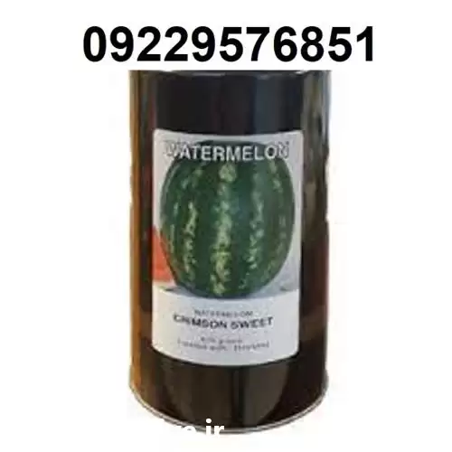 فروش بذر هندوانه متوسط رس کانیون در شیراز در گروه خرید و فروش بذر هندوانه در یکمیوه -عکس1