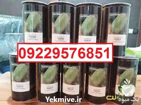 فروش سفارش بذر هندوانه کانیون در گروه خرید و فروش بذر هندوانه در یکمیوه -عکس1