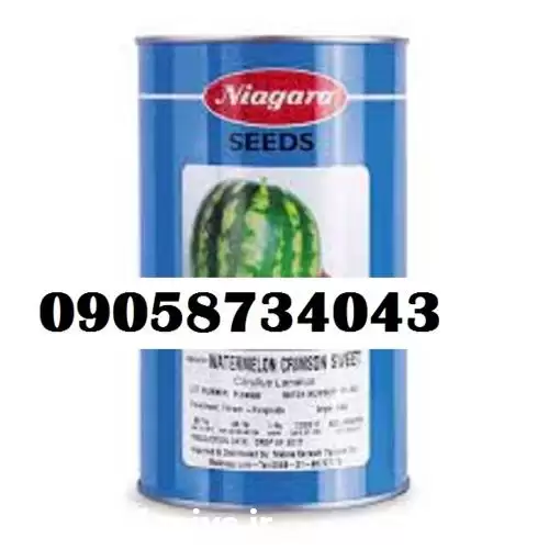 قیمت خرید بذر هندوانه نیاگارا در مشهد در گروه خرید و فروش بذر هندوانه در یکمیوه -عکس1