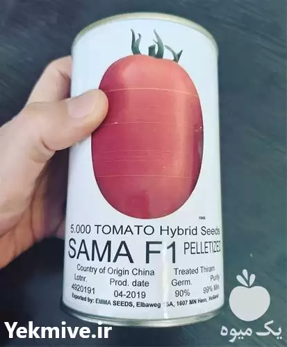 قیمت خرید پخش توزیع بذر گوجه در اردبیل در گروه خرید و فروش بذر گوجه در یکمیوه -عکس1