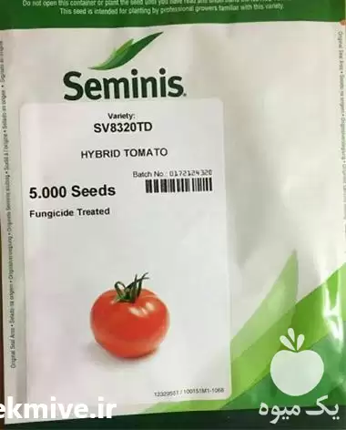 فروش بذر گوجه فرنگی برنتا در تهران در گروه خرید و فروش بذر گوجه در یکمیوه -عکس1
