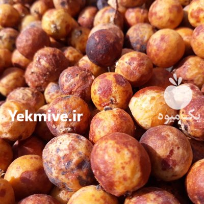 هسته خرمای وحشی داز در ایرانشهر در گروه خرید و فروش خرما در یکمیوه -عکس2