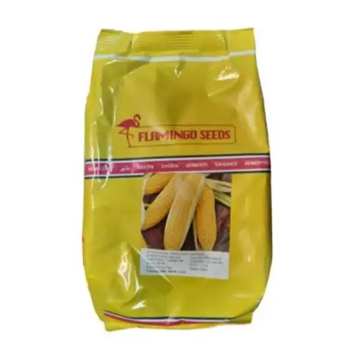 عرضه بذر ذرت سمیرا در اصفهان در گروه خرید و فروش بذر ذرت در یکمیوه -عکس1