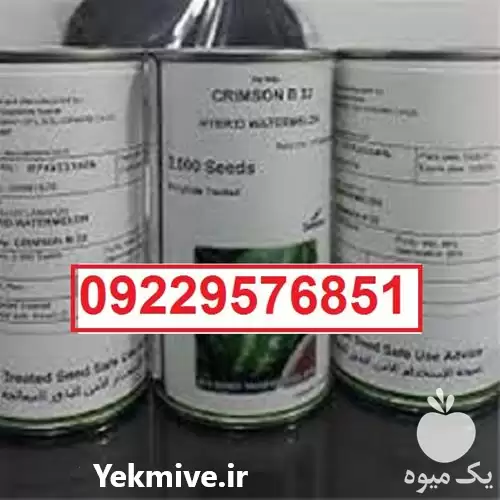 بذر هندوانه پرفروش اصل در شیراز در گروه خرید و فروش هندوانه در یکمیوه -عکس1