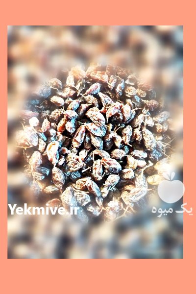 کشمش فخری درجه یک از منشأ در بناب در گروه خرید و فروش آجیل در یکمیوه -عکس1