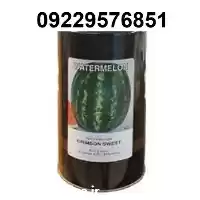 فروش بذر هندوانه متوسط رس کانیون در شیراز در گروه خرید و فروش بذر هندوانه در یکمیوه