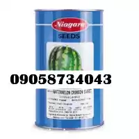 قیمت خرید بذر هندوانه نیاگارا در مشهد در گروه خرید و فروش بذر هندوانه در یکمیوه