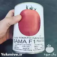 قیمت خرید پخش توزیع بذر گوجه در اردبیل در گروه خرید و فروش بذر گوجه در یکمیوه