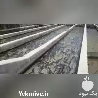 دوره آموزش کامل پرورش ماهی قزل در تهران در گروه دوره آموزش کشاورزی در یکمیوه
