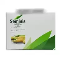 فروش بذر ذرت شیرین مسنجر کیفیت در شیراز در گروه خرید و فروش بذر ذرت در یکمیوه