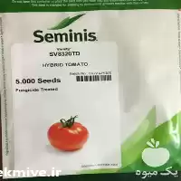 فروش بذر گوجه فرنگی برنتا در تهران در گروه خرید و فروش بذر گوجه در یکمیوه