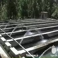 دوره آموزش پرورش ماهی قزل آلا در تهران در گروه دوره آموزش کشاورزی در یکمیوه