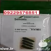 توزیع فروش بذر خیار امپراطور پر در زاهدان در گروه خرید و فروش بذر خیار در یکمیوه