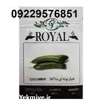 قیمت خرید قیمت بذر خیار رویال در همدان در گروه خرید و فروش بذر خیار در یکمیوه