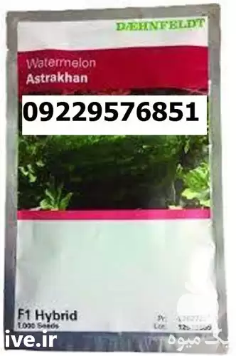 قیمت خرید بذر هندوانه استاراخان در هرمز در گروه خرید و فروش بذر هندوانه در یکمیوه -عکس1