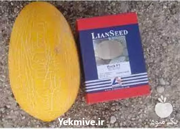 قیمت خرید بذر خربزه راک پرقیمت در اردبیل در گروه خرید و فروش بذر خربزه در یکمیوه -عکس1