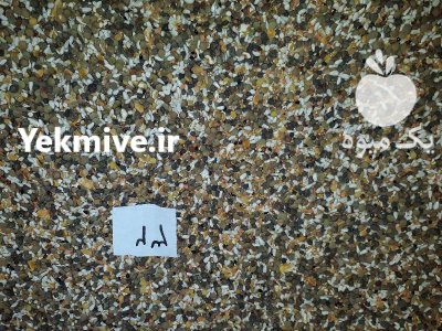 فروش دان مخلوط کبوتر در گروه خوراک دام و طیور در یکمیوه -عکس2