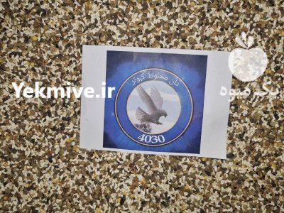 فروش دان مخلوط کبوتر در گروه خوراک دام و طیور در یکمیوه -عکس3